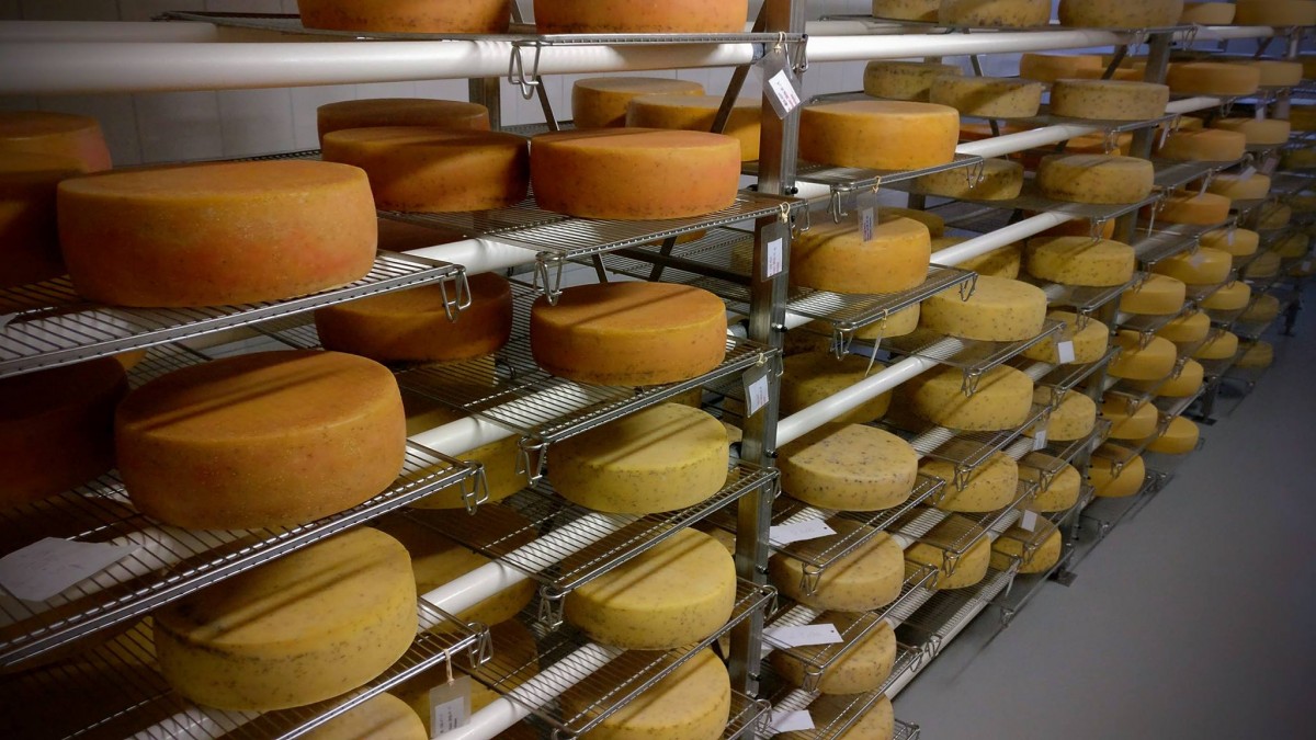 A look into our cheese cave BoMé Cheese